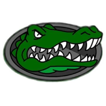 High School Team Preview: Lake Cormorant Gators
