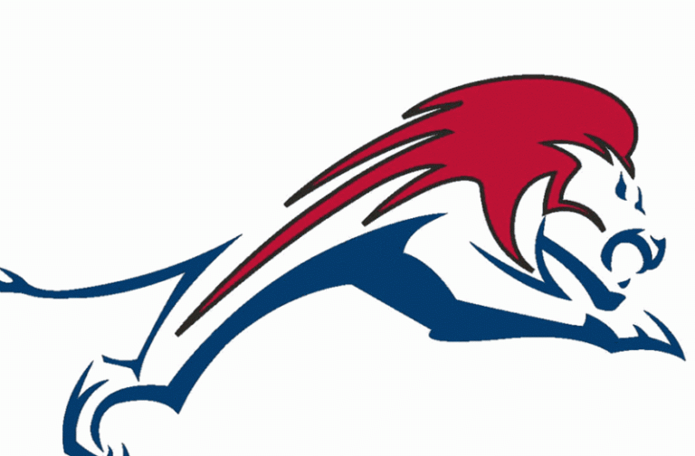 Chaminade-Madonna Team Preview