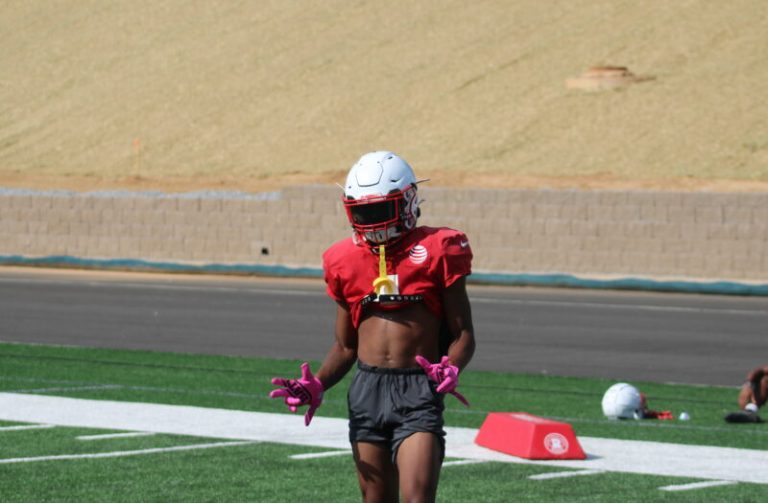 Program Profile: Gainesville Red Elephants