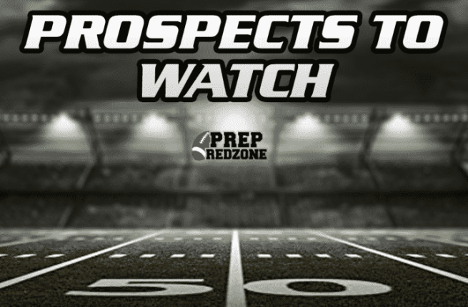 Pre-Rankings Release: Rising Prospects (2025)