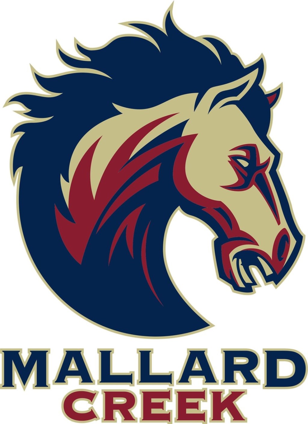 Team Preview &#8211; Mallard Creek Mavericks