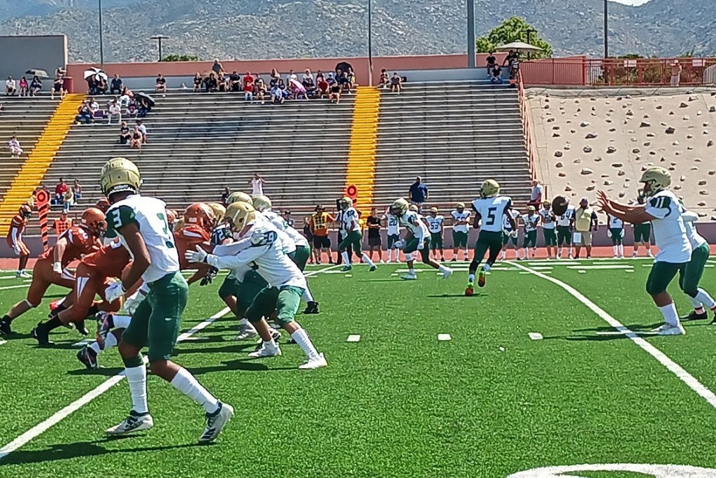 Sights and Sounds: Week 3