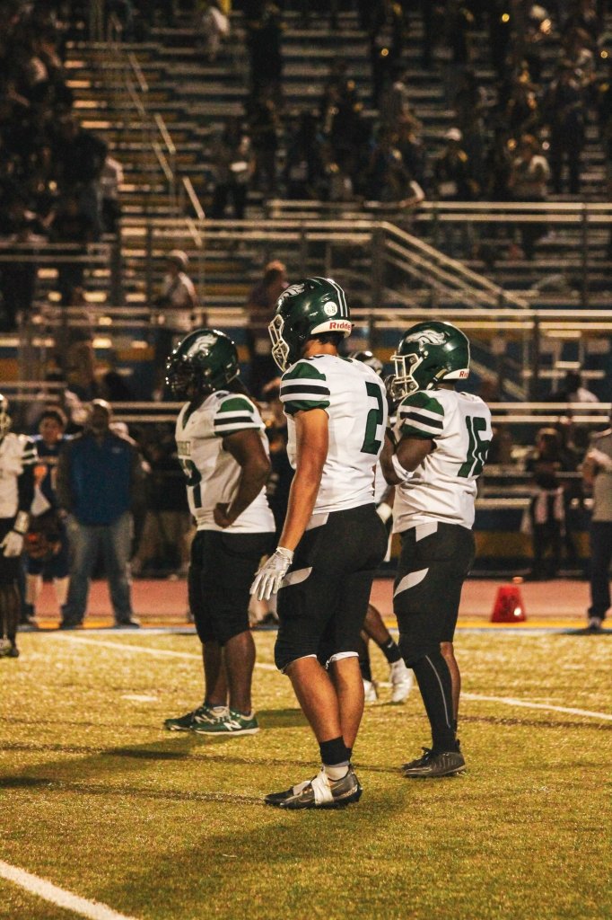 Stock Risers Spotlight