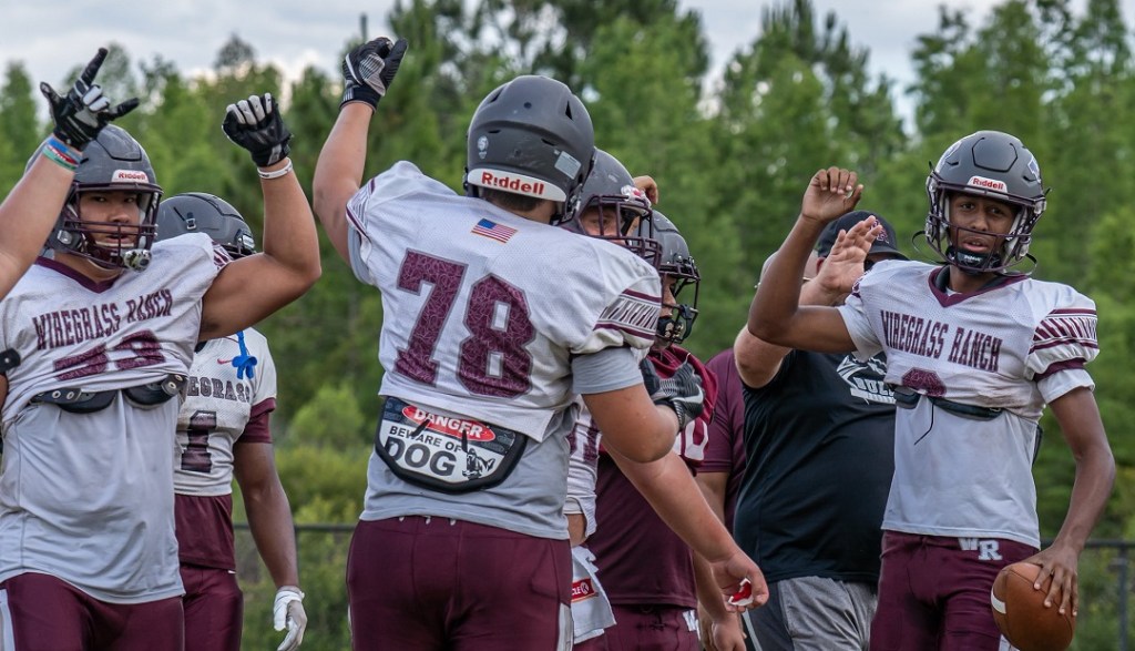 PROSPECT SHEET: Wiregrass Ranch