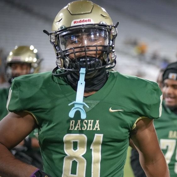 Basha Recruiting Rise