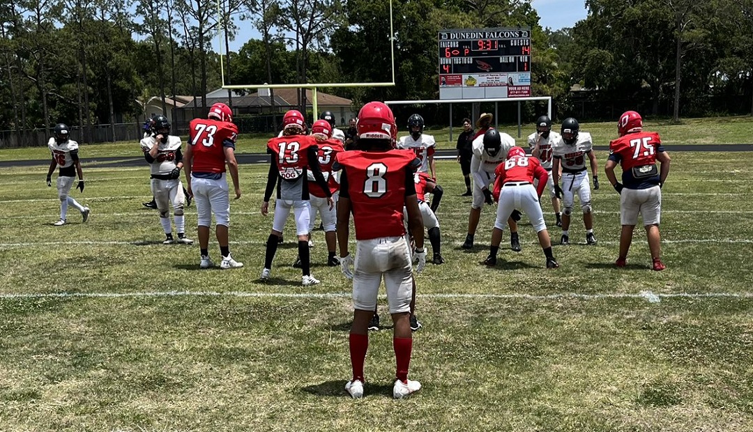 PROSPECT SHEET Dunedin Falcons Prep Redzone