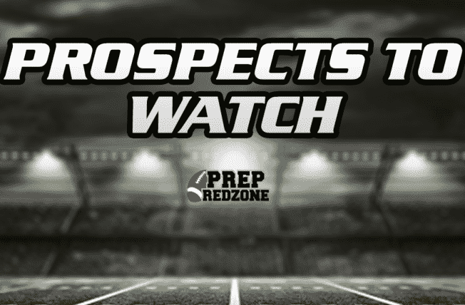 2024 MN South Central DL Standouts