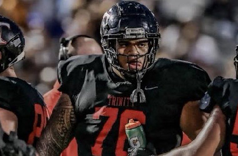 Pupungatoa Katoa