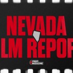 NV 2025 Film Report