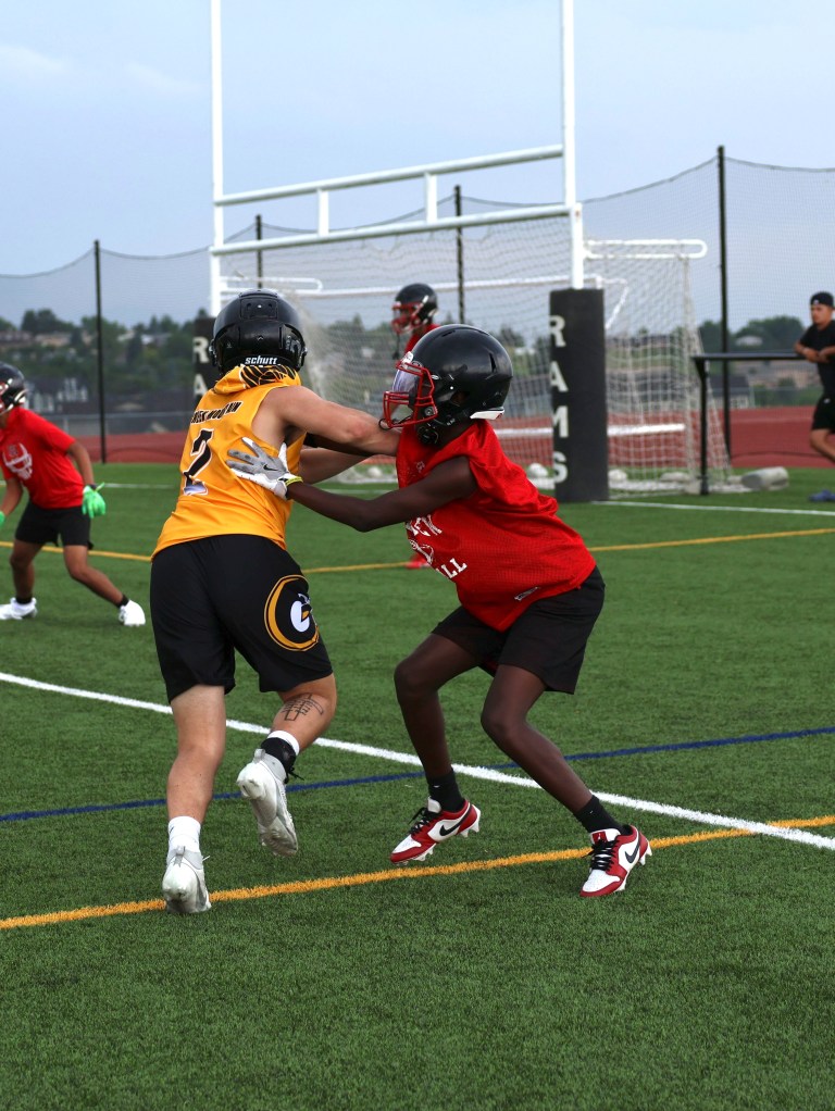 Xavier Jenkins