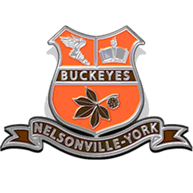 Nelsonville-York