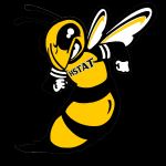 The of Telecommunication Arts and Technology