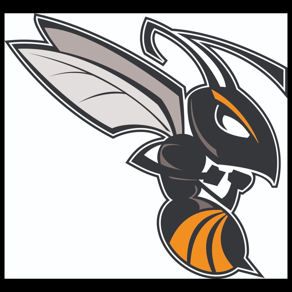 Hawthorneschoo