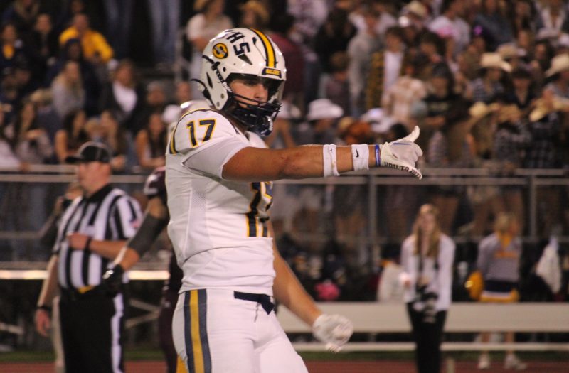 The Best Traits for our Top 5 Senior TEs