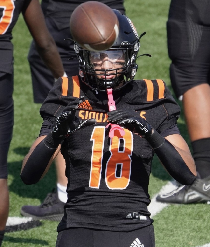 Standouts in Football and Basketball