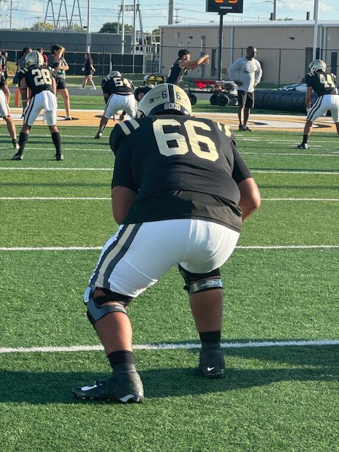 2024 Mid-Season Standouts