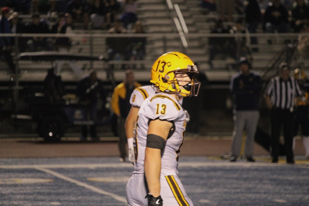 2025 In-Season Update: NEW ADDITION Running Backs