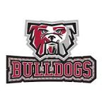 Thaddeus Stevens Tech