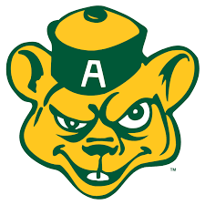 University of Alberta