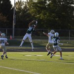Levi Whitfield