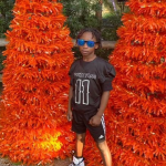 Damour Scott