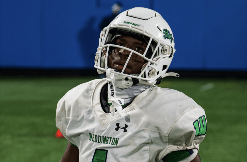 Week 4 Instant Analysis