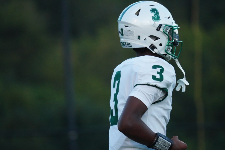 Spring Stock-Risers: 2028 WR Report