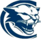 Chicago Academy