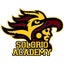 Chicago Solorio Academy