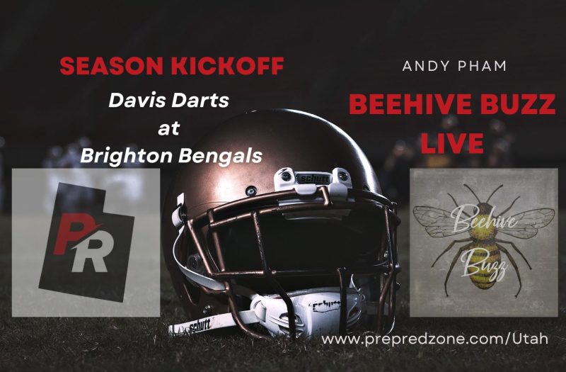 Beehive Buzz Live: Davis at Brighton