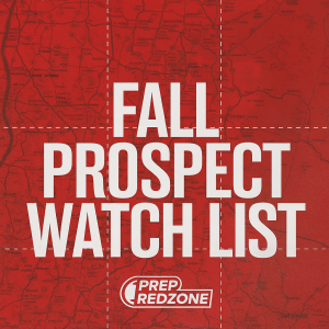 2029 Breakout Candidates for 2025 – 2.0