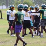 Core 4 Team Preview:  Pine Forest
