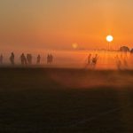 Dawn Of A New Season (Free Report)