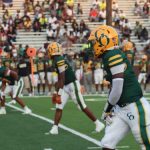Week 3 Eye-Catchers: Green Oaks at Booker T. Washington