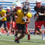 Defensive Game Balls for Week 7