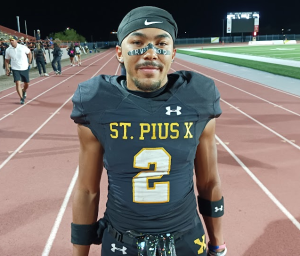 Sights and Sounds: Week 8 (Video and Recap)