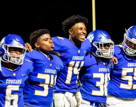 TNHSFB Week Nine Statewide Recap