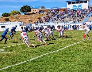 Week 11: Sights and Sounds (Videos and Recaps)