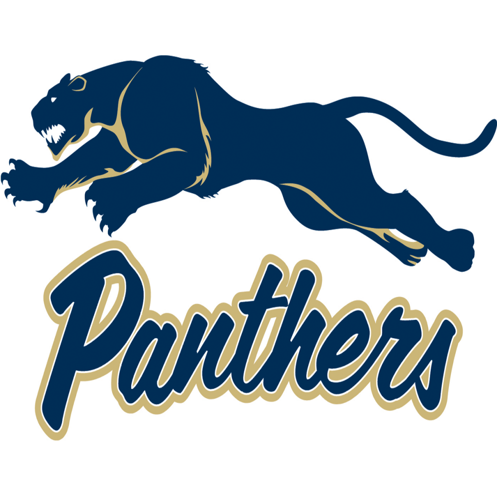 Platt Tech