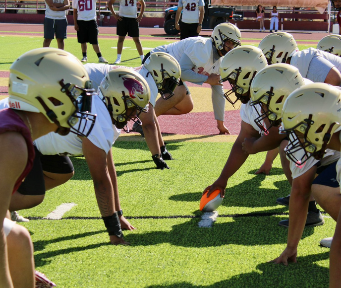 2026 Team Preview: Gadsden Panthers