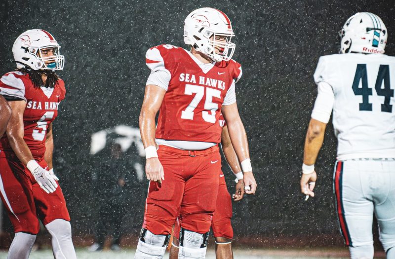 Positional Preview: Early Summer OL Risers