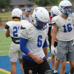 Piedmont Spring Report