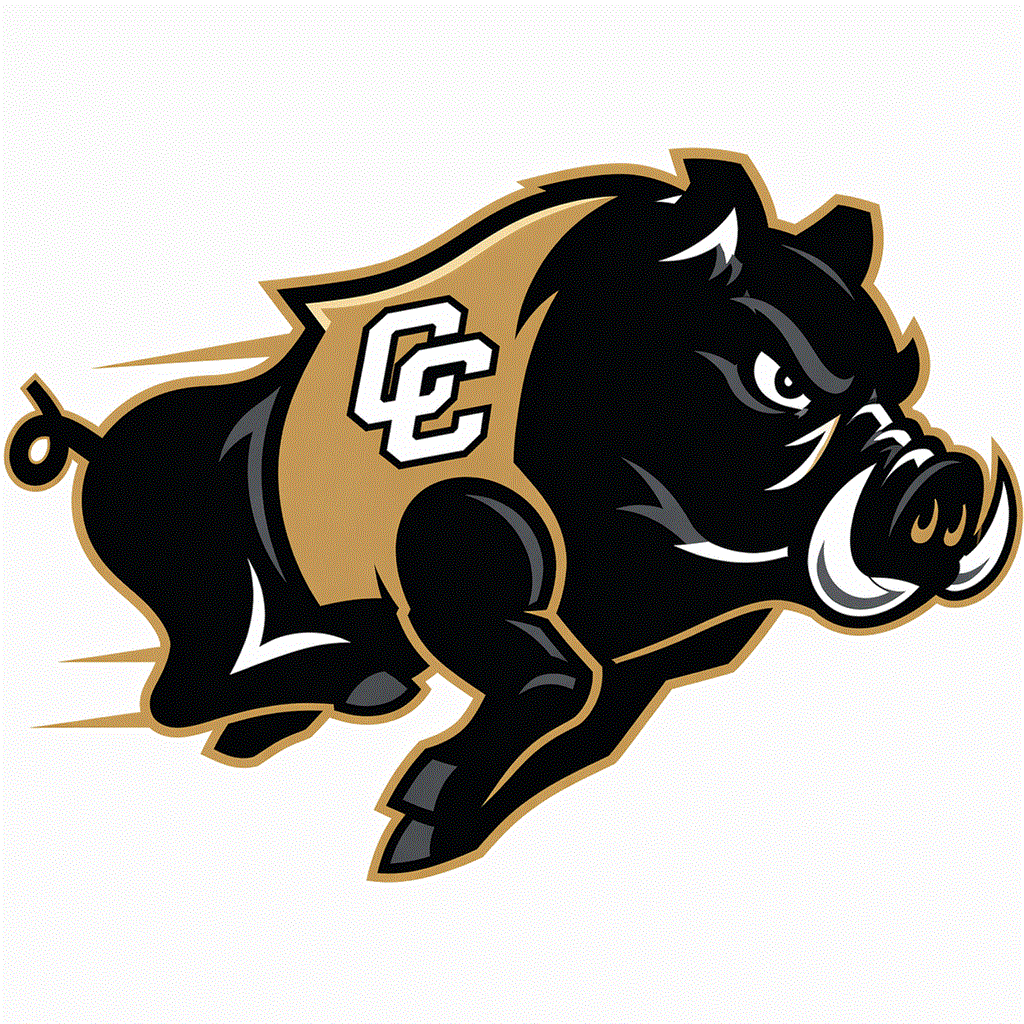 Colquitt County