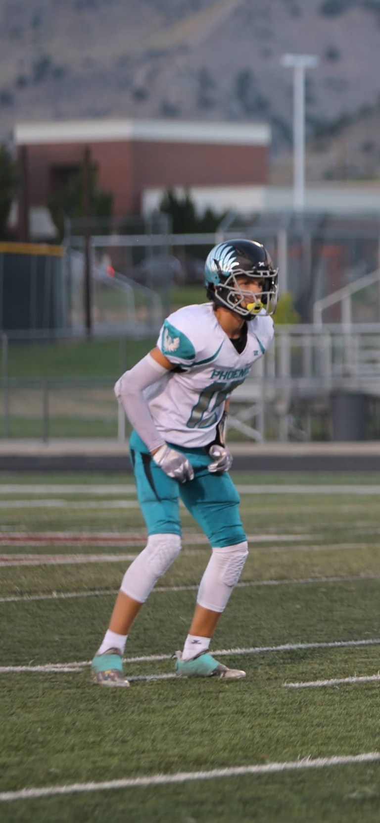 Carson Cook