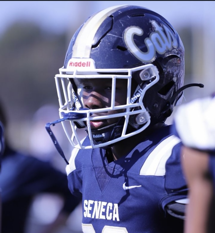 Amari Verner