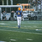 Tremayne Cheers
