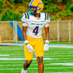 Taimere Meggett