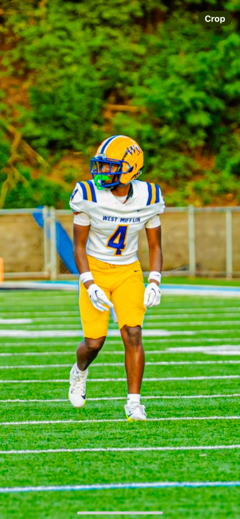 Taimere Meggett