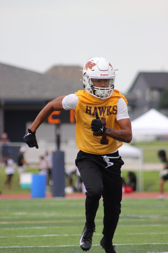 Tayzn Lando-alfafara