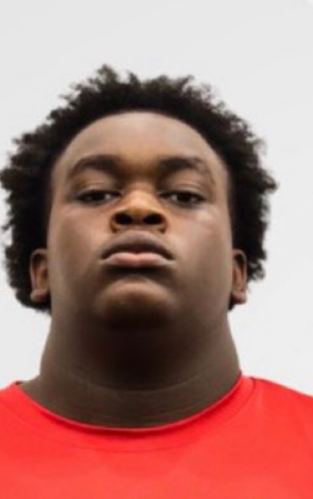 Marquise Hitchens